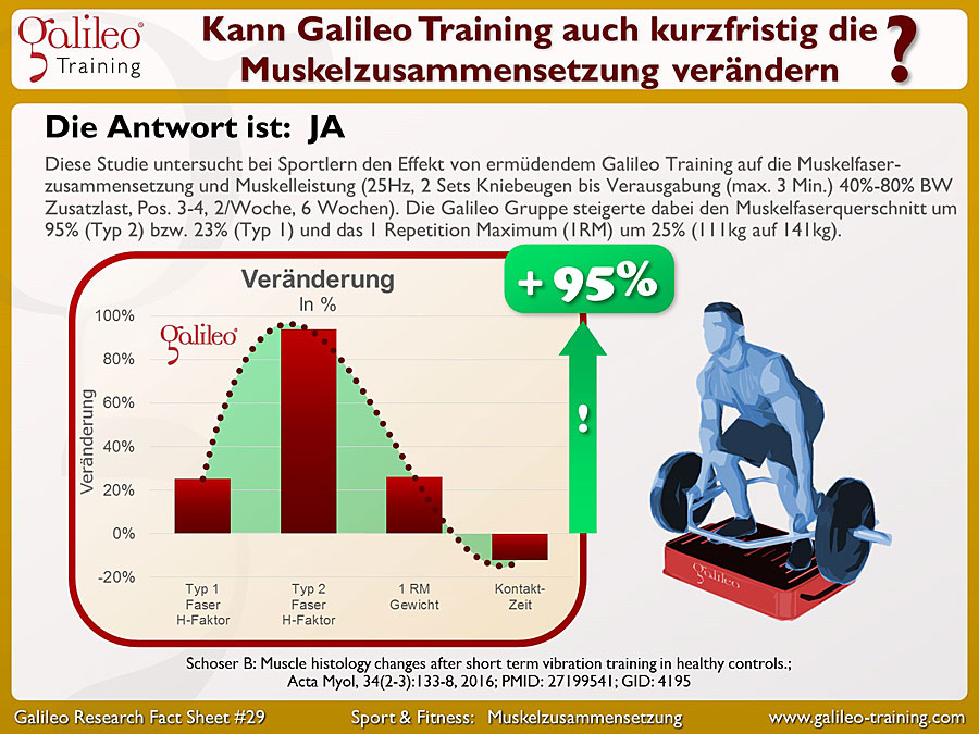 Galileo Research Facts No. 29: Kann Galileo Training auch kurzfristig die Muskelzusammensetzung verändern?