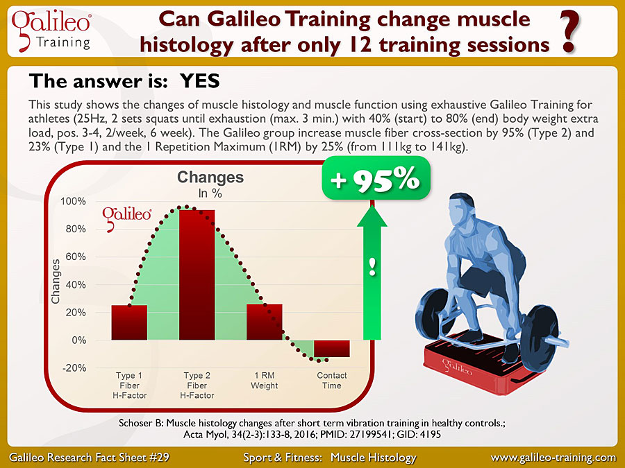 Galileo Research Facts No. 29: Can Galileo Training change muscle histology after only 12 training sessions?