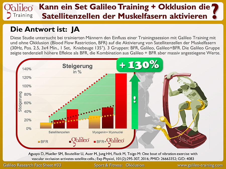 Galileo Research Facts No. 33: Kann ein Set Galileo Training + Okklusion die Satellitenzellen der Muskelfasern aktivieren?