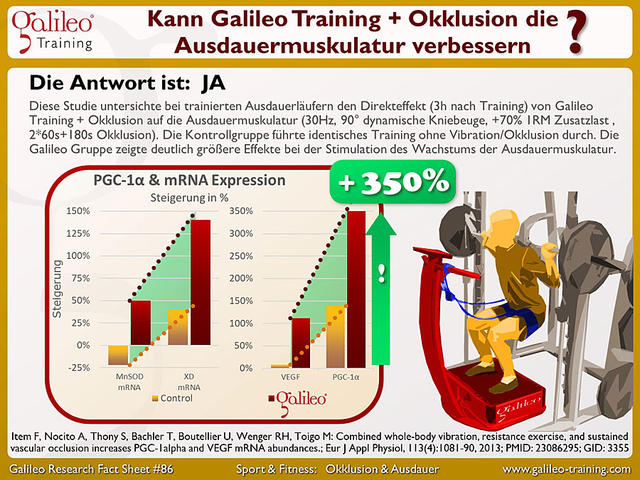 Galileo Research Facts No. 86: Kann Galileo Training + Okklusion die Ausdauermuskulatur verbessern?