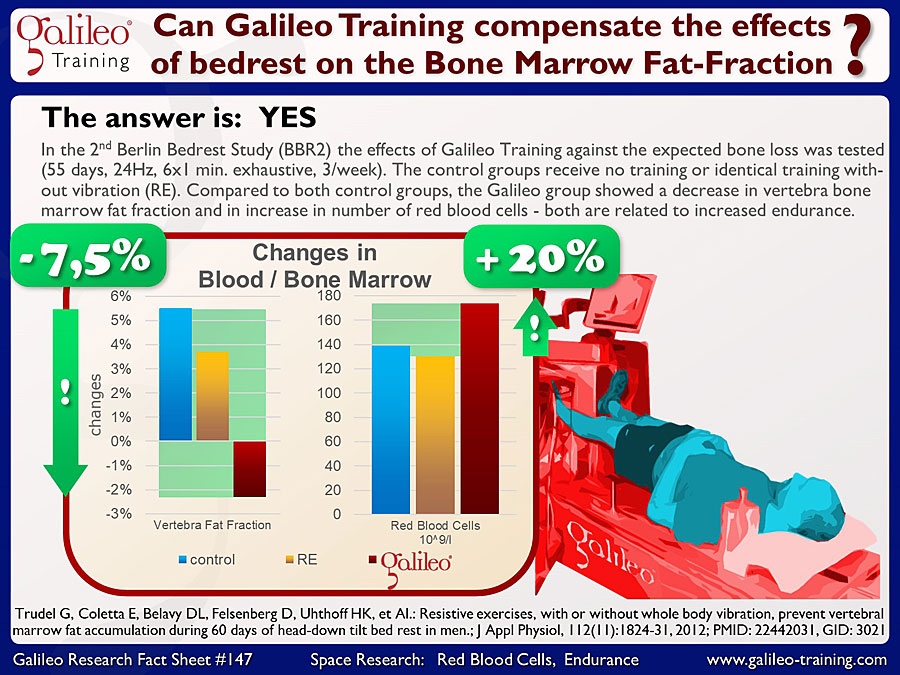 Galileo Research Facts No. 147: Can Galileo Training compensate the effects of bedrest on the Bone Marrow Fat-Fraction?